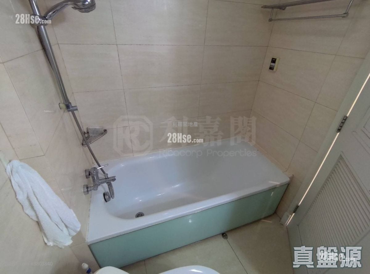 栢慧豪园 租盘 502 平方尺