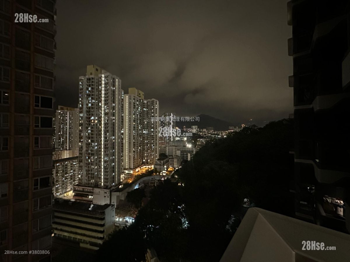 晓柏峰 售盘 1 房 243 平方尺