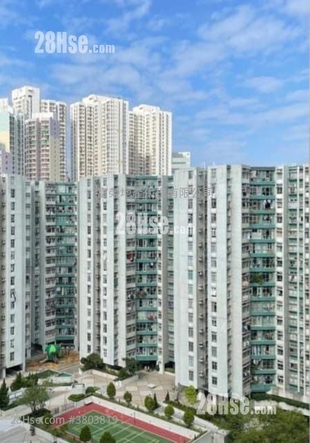 黄埔花园 售盘 2 房 , 1 浴室 505 平方尺