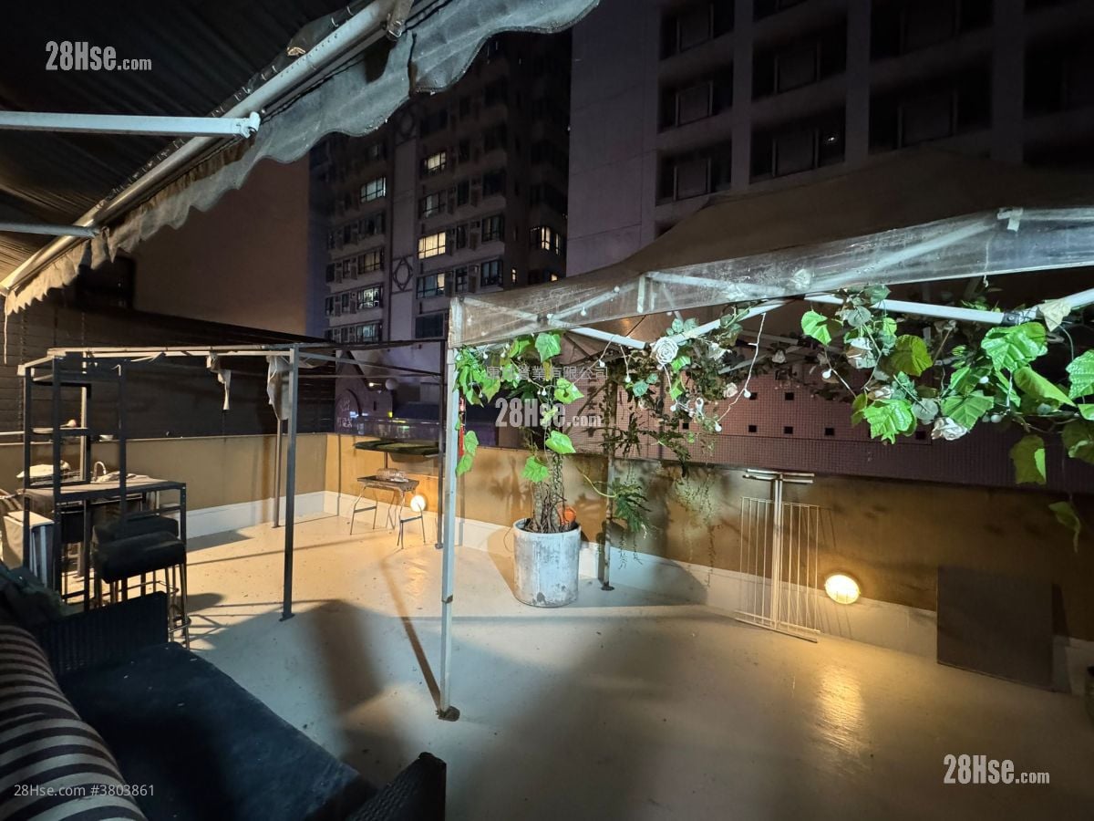 添宝阁 售盘 491 平方尺