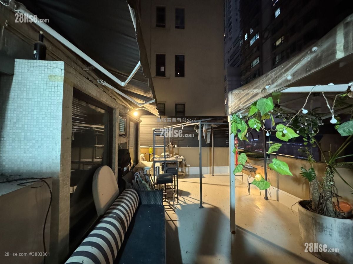 添宝阁 售盘 491 平方尺