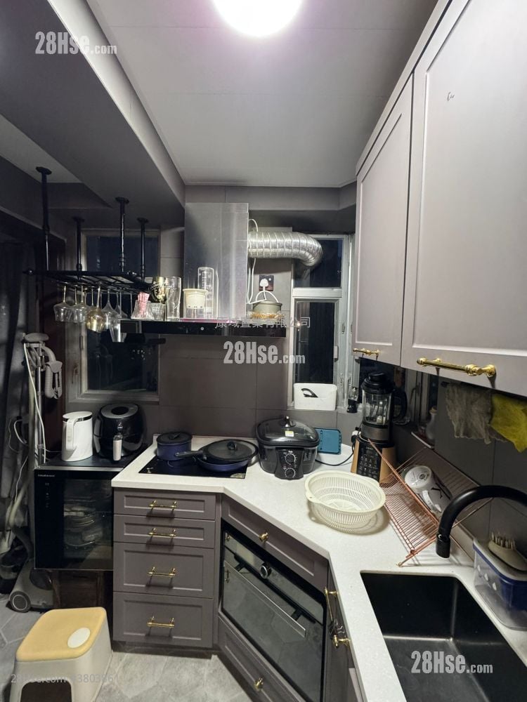 添宝阁 售盘 491 平方尺