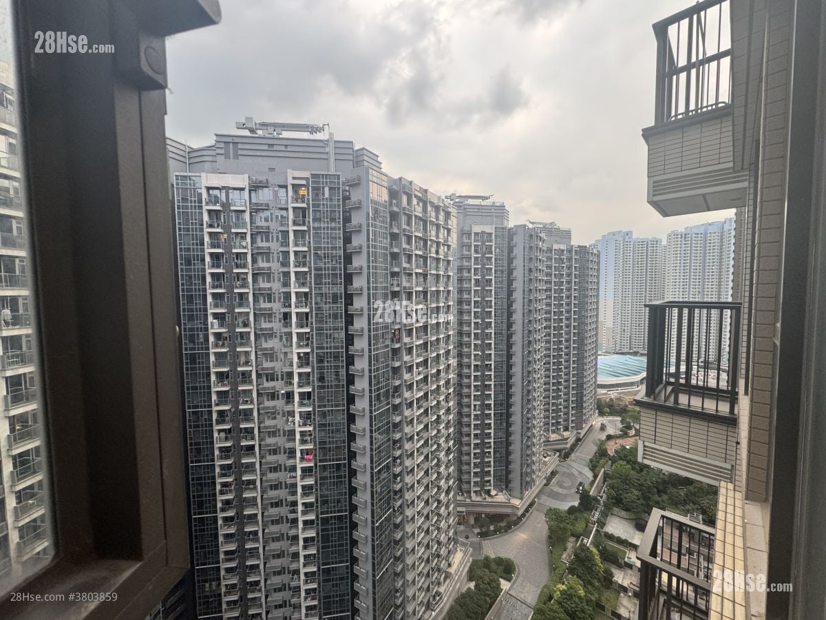 升荟 租盘 1 房 , 1 浴室 484 平方尺