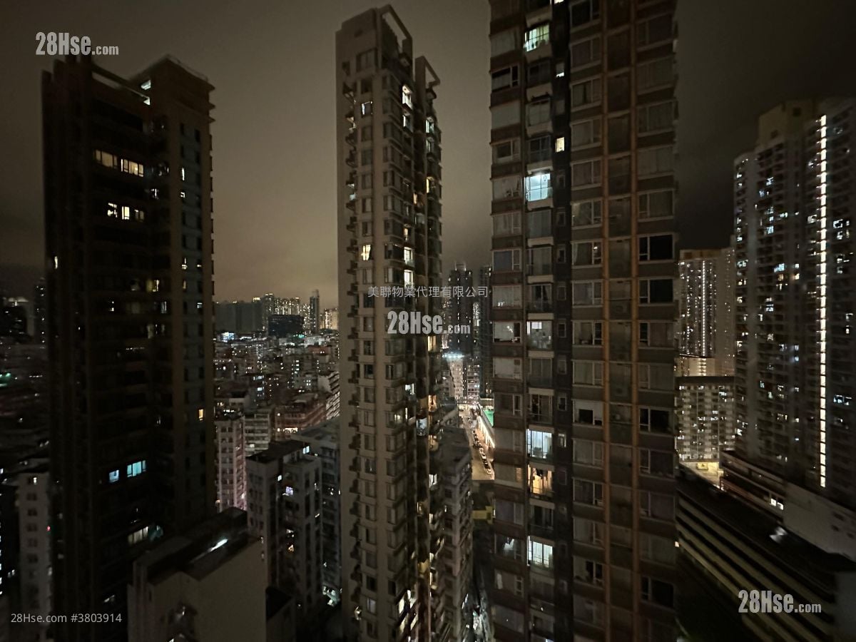 晓柏峰 租盘 243 平方尺