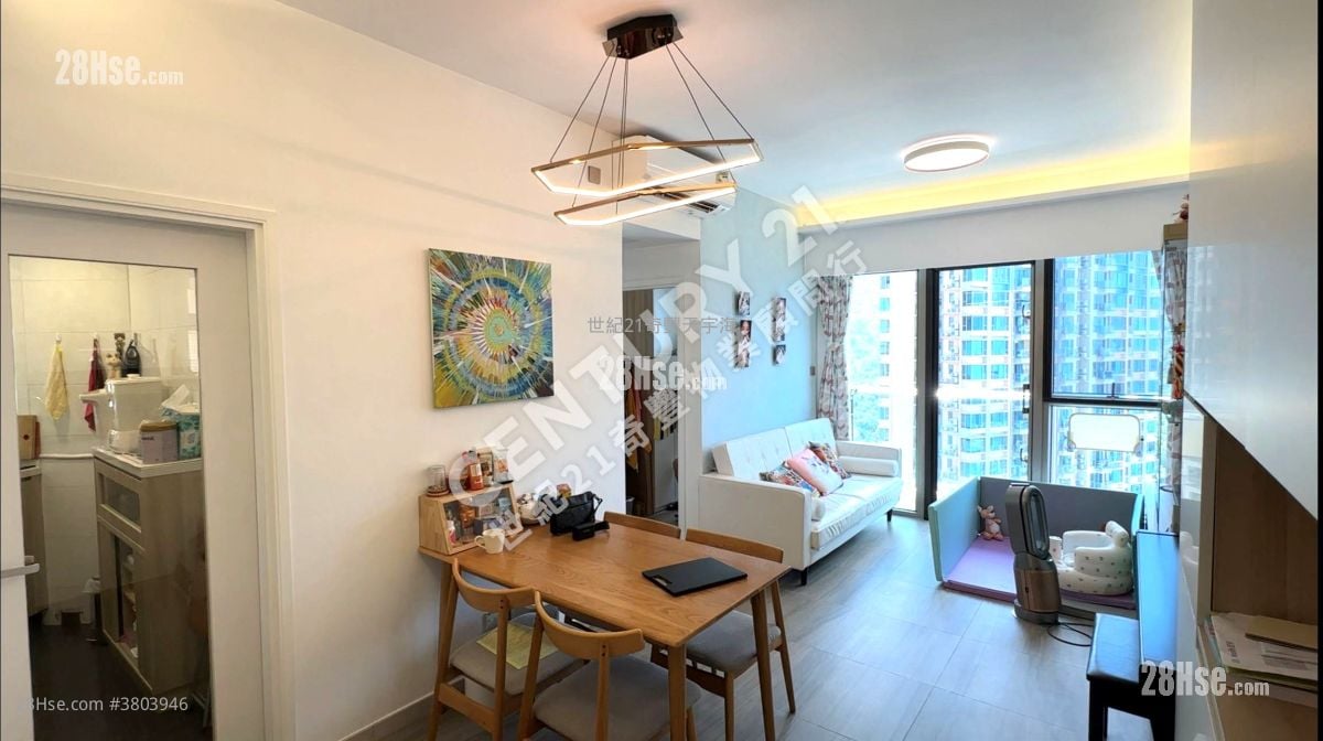 Jimmy豆生 63460809