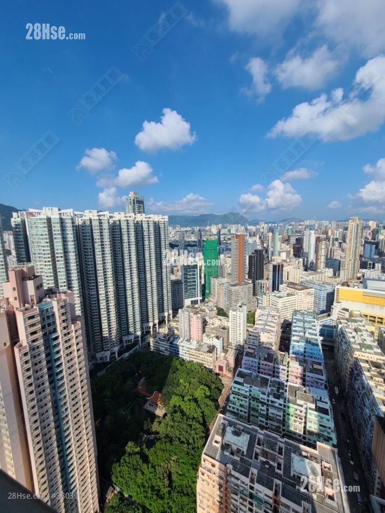 君汇港 租盘 2 房 , 1 浴室 478 平方尺