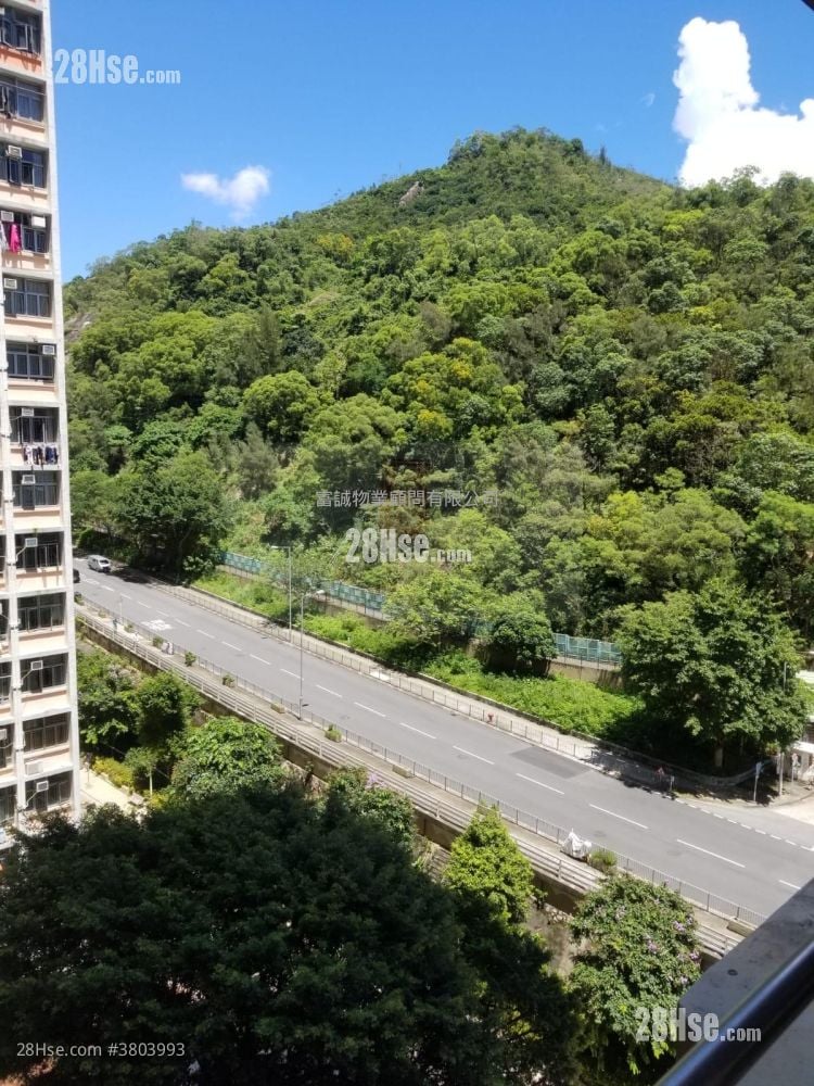 康雅苑 售盘 2 房 , 1 浴室 538 平方尺