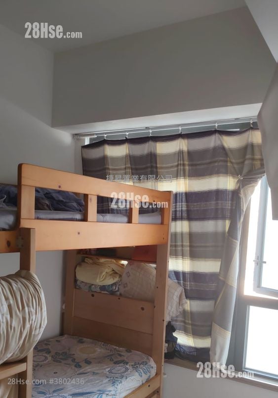 Downtown 38 售盘 1 房 , 1 浴室 301 平方尺