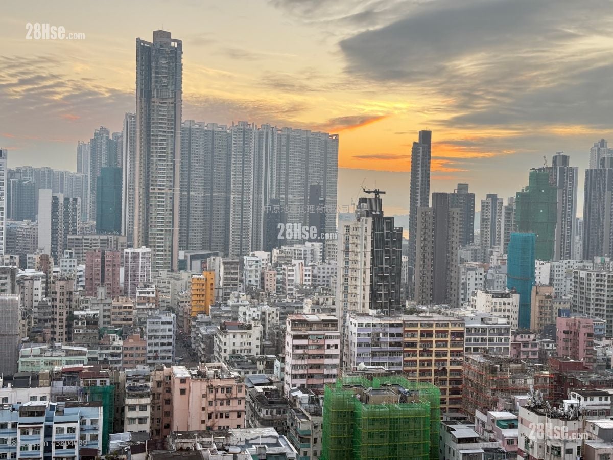 晓柏峰 售盘 1 房 246 平方尺