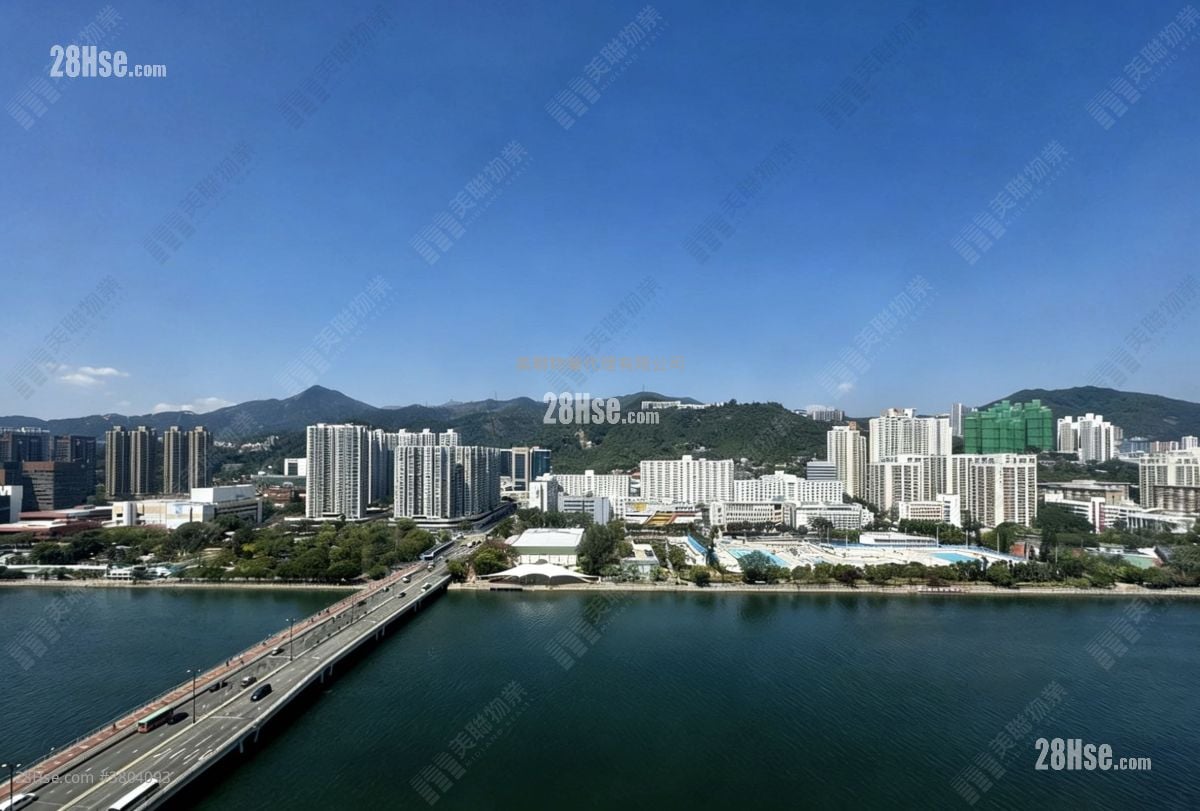 河畔花园 售盘 1 房 269 平方尺