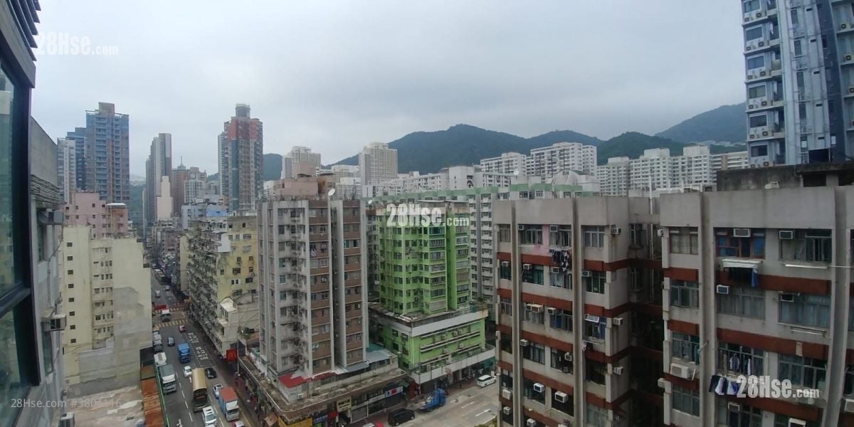 青荟 售盘 1 房 224 平方尺