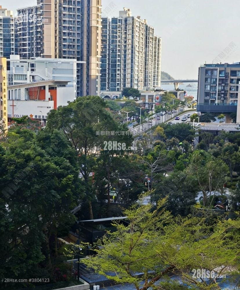 天晋 租盘 4 房 , 3 浴室 799 平方尺