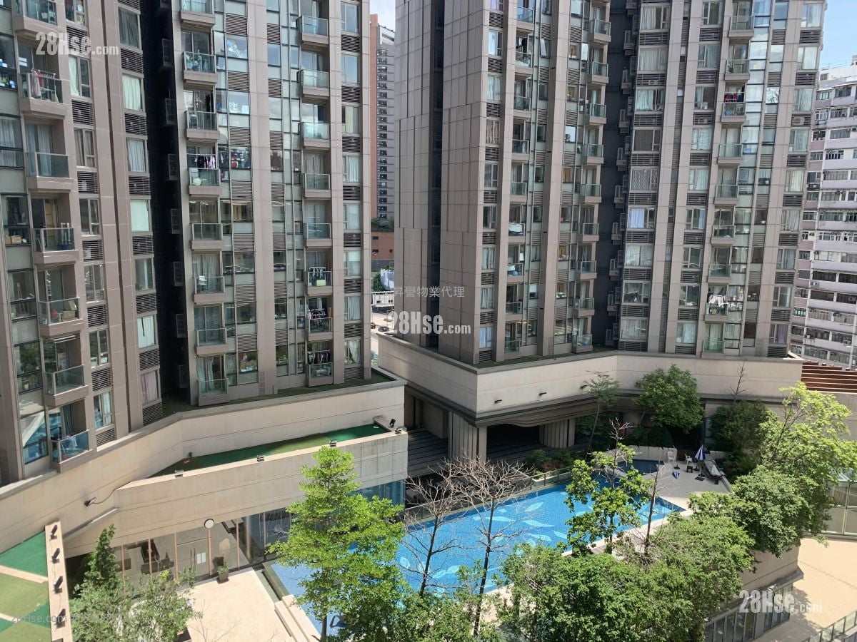 The Met. Focus Rental Studio 230 ft²