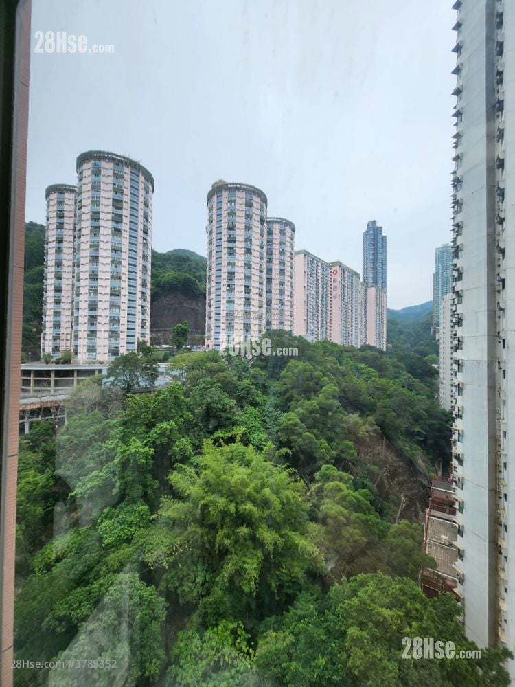 Lily Court Rental 2 Bedrooms , 1 Bathroom 357 ft²