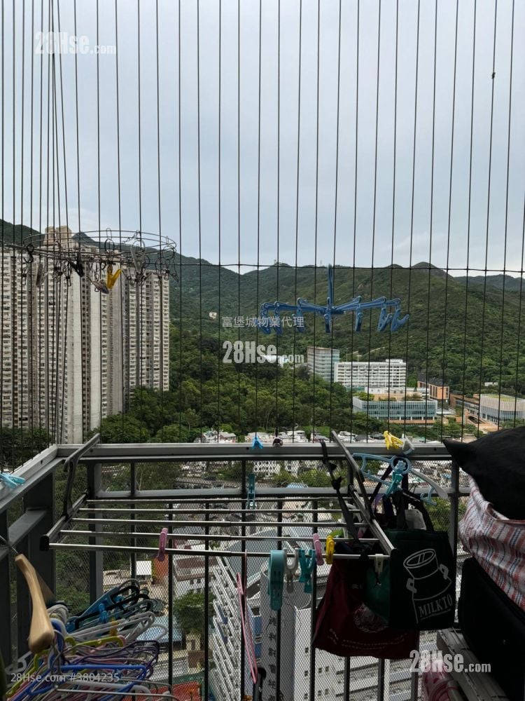 绿怡雅苑 售盘 2 房 , 1 浴室 569 平方尺