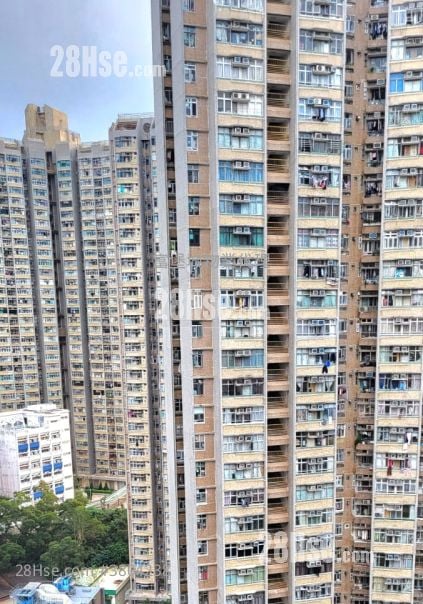 广源邨 售盘 开放式间隔 , 1 浴室 153 平方尺