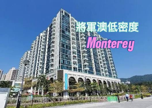 Monterey 售盘 2 房 540 平方尺
