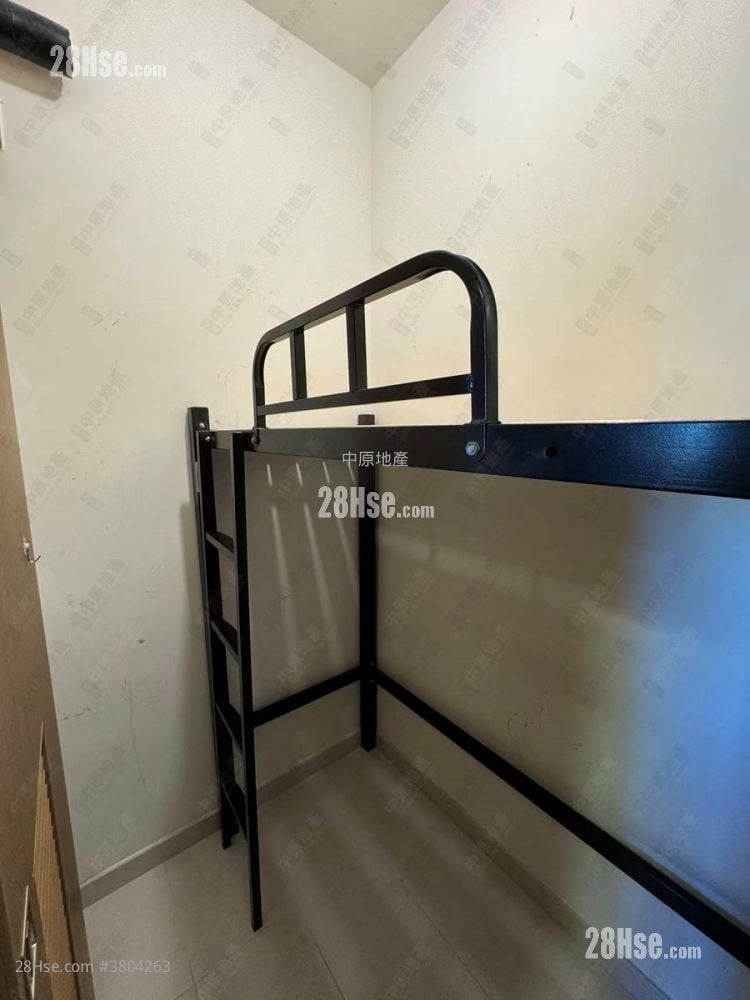 朗城滙 售盘 3 房 736 平方尺