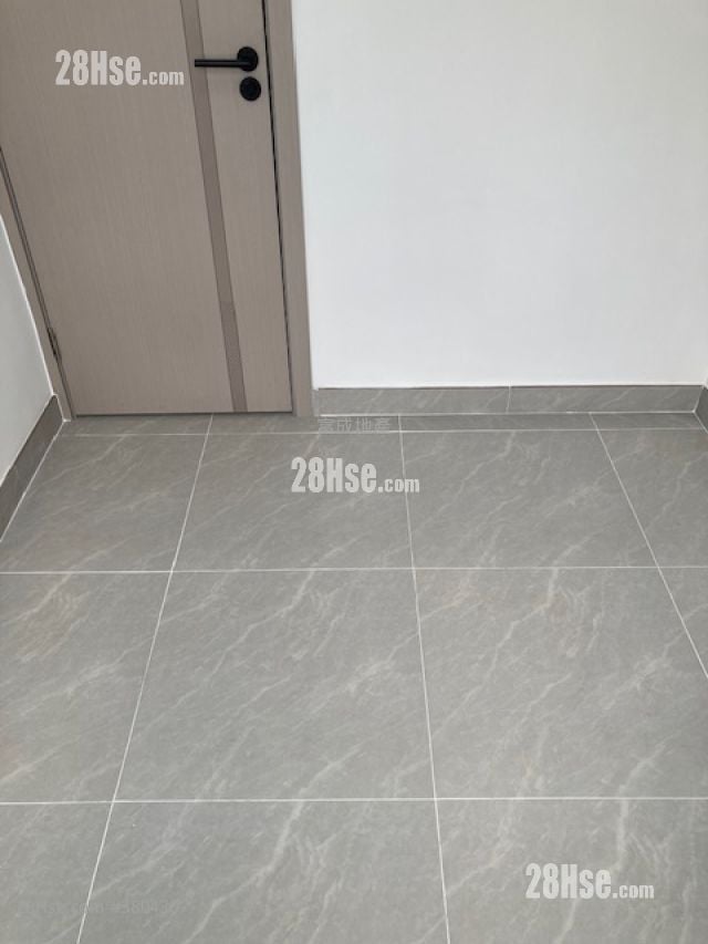 Healey Building Rental 1 Bedroom , 1 Bathroom 271 ft²