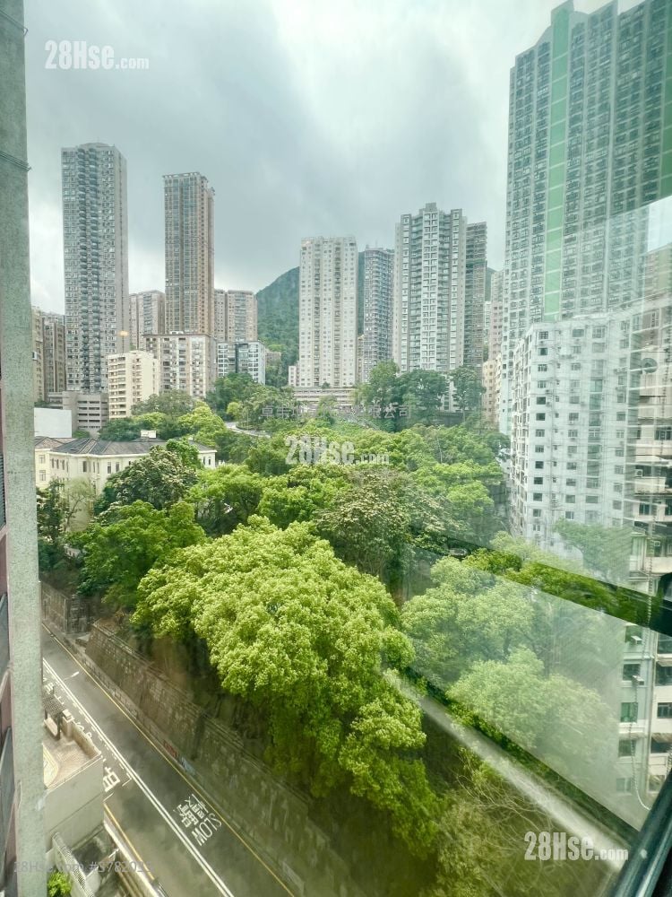 Wilton Place Rental 1 Bedroom , 1 Bathroom 290 ft²