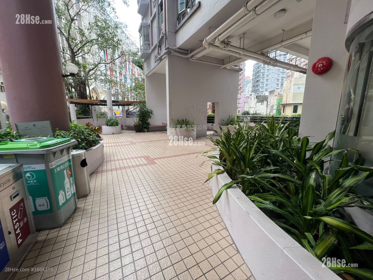 东盛台 租盘 开放式间隔 , 1 浴室 259 平方尺