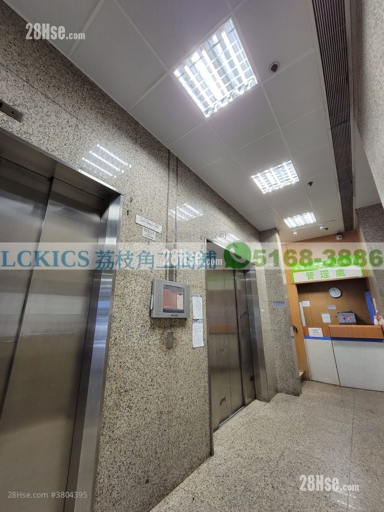 Wing Hong Centre Rental 480 ft²