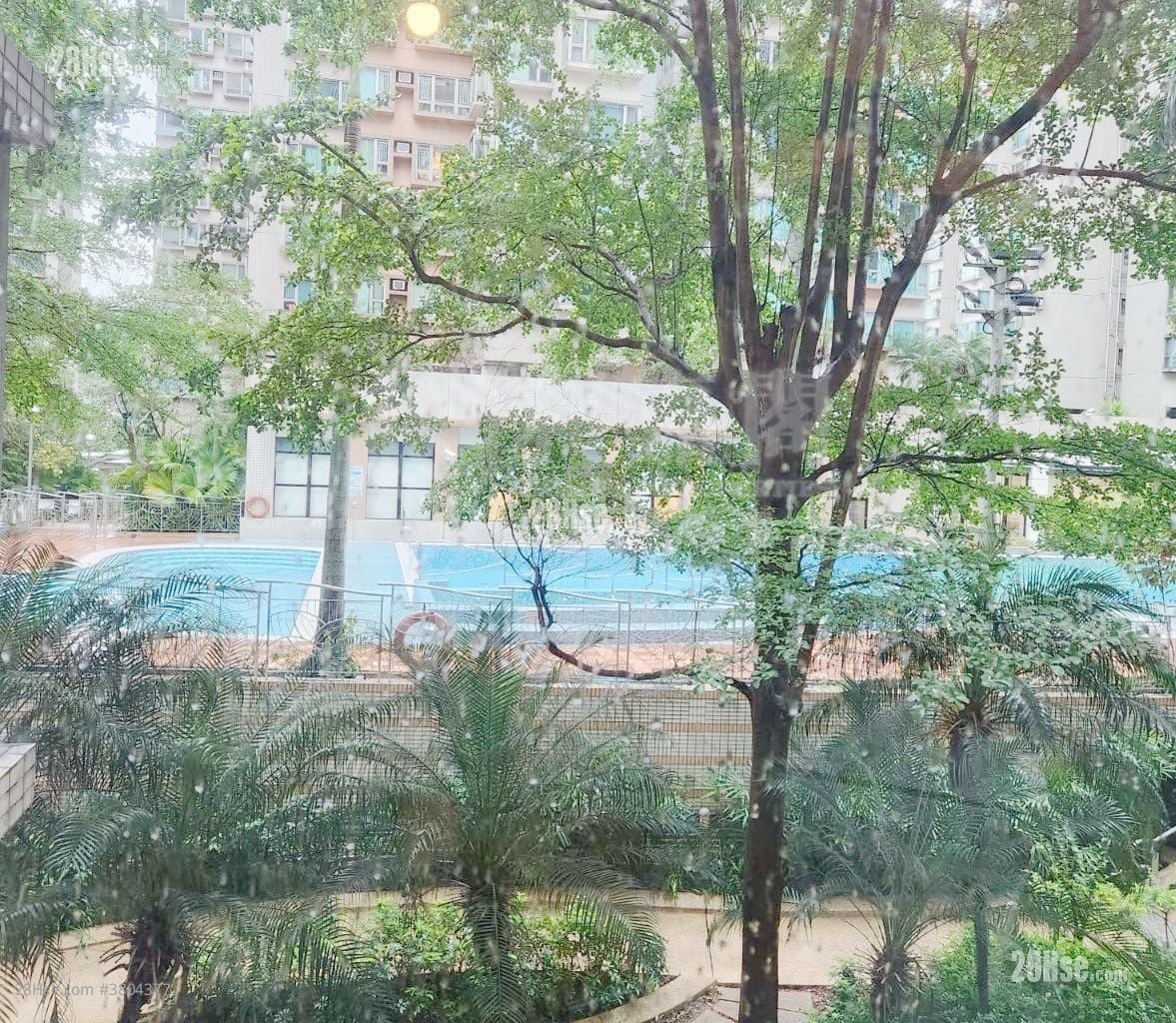 采叶庭 售盘 2 房 , 1 浴室 460 平方尺