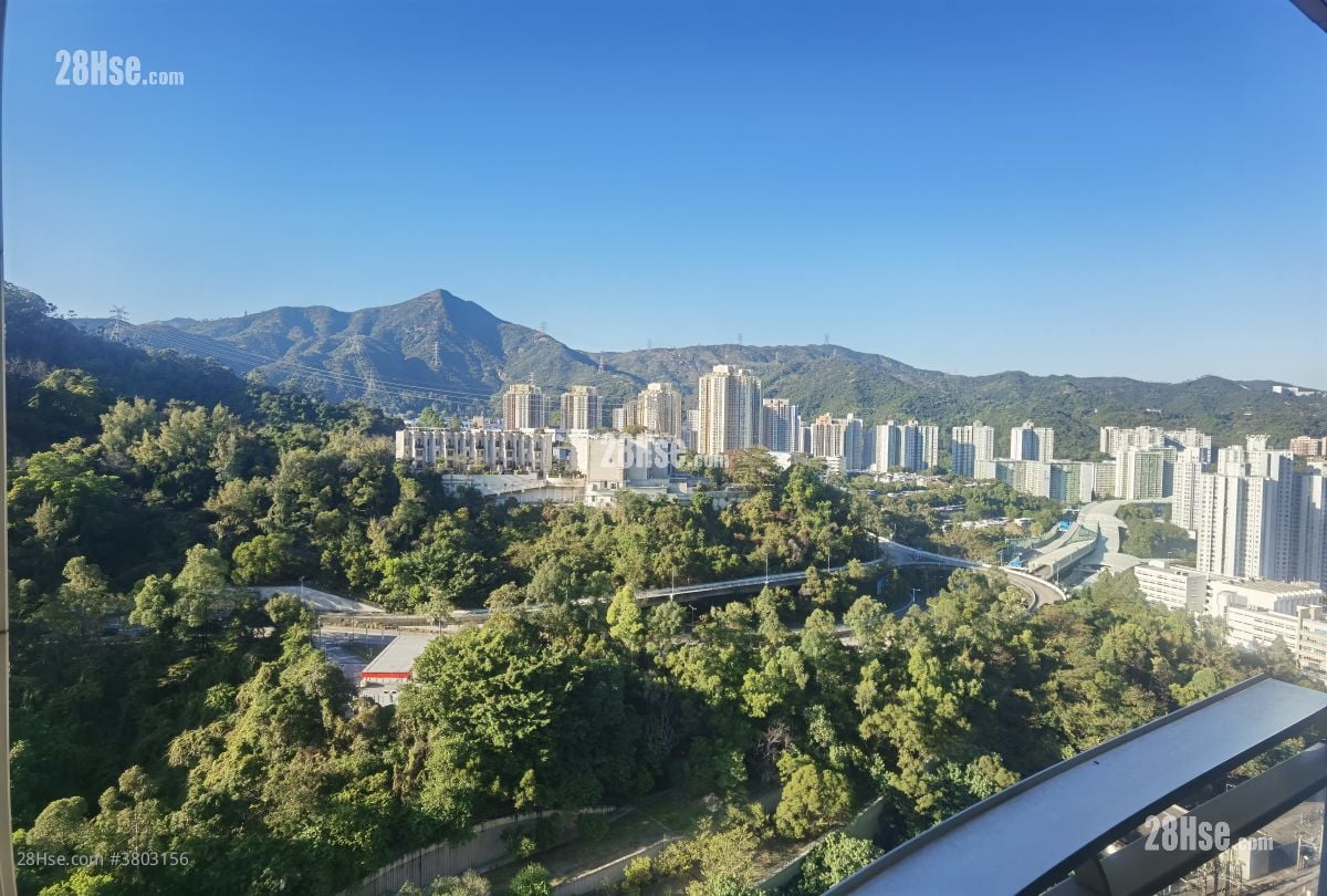 Festival City Sell 3 Bedrooms , 2 Bathrooms 741 ft²