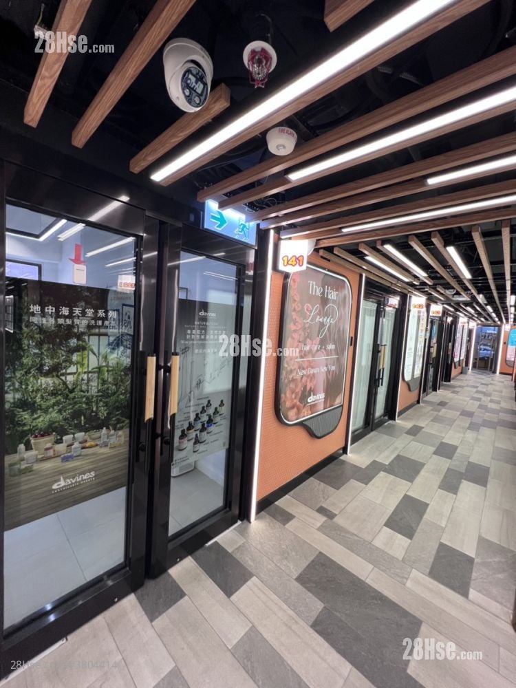 Camel Paint Building Rental