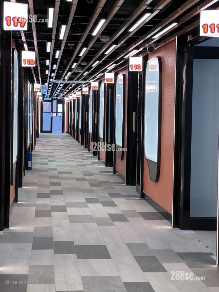 Camel Paint Building Rental