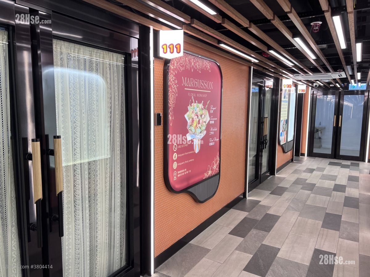 Camel Paint Building Rental