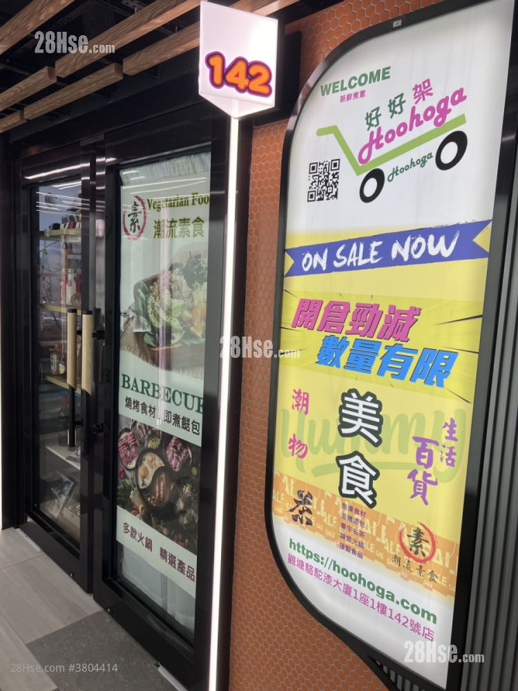 Camel Paint Building Rental