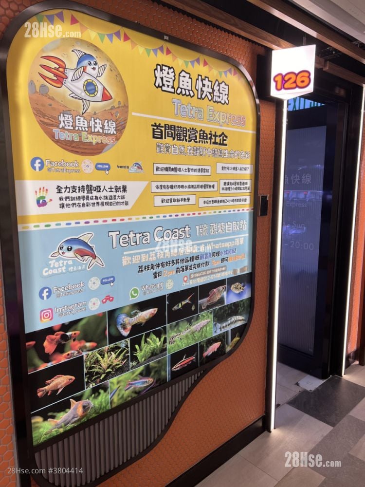 Camel Paint Building Rental