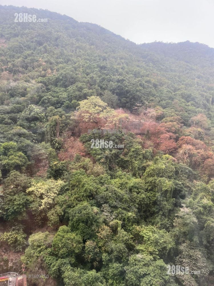 Chung Hing Mansion Rental 2 Bedrooms , 1 Bathroom 374 ft²