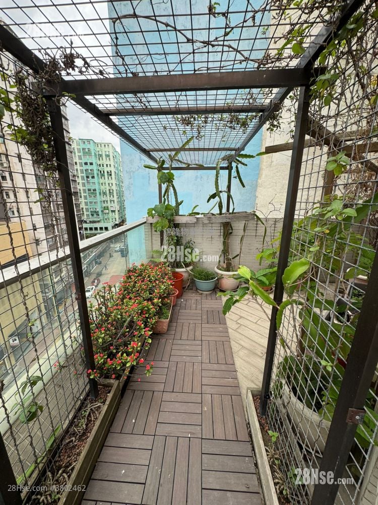 利港湾18 租盘 1 房 , 1 浴室 283 平方尺