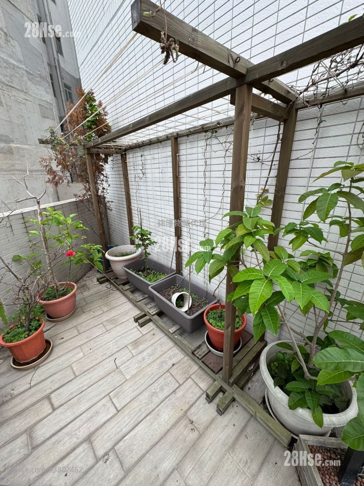 利港湾18 租盘 1 房 , 1 浴室 283 平方尺