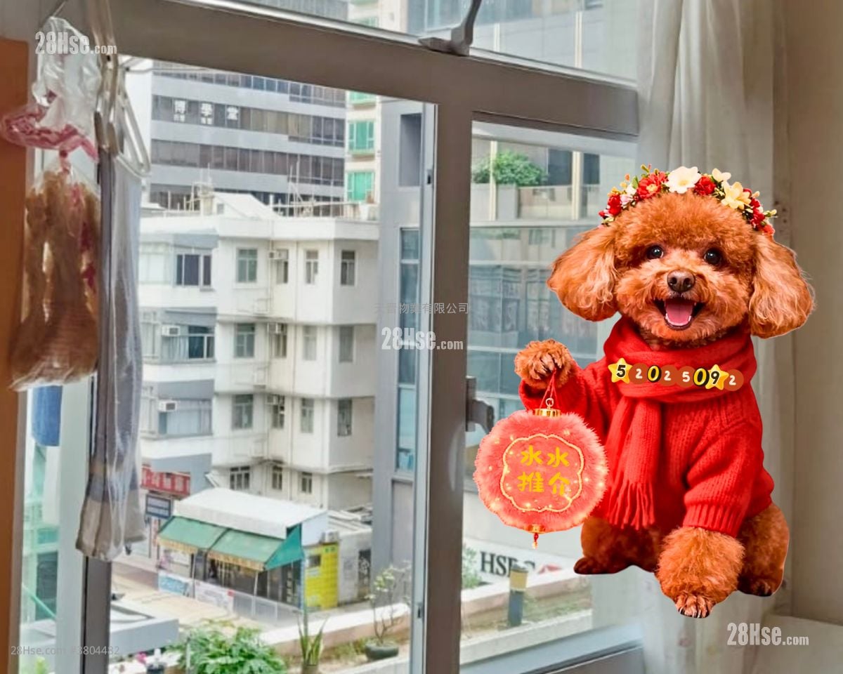 宝源大厦 售盘 3 房 471 平方尺