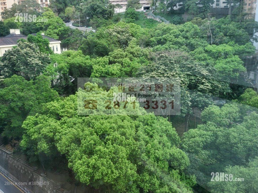 Wilton Place Rental 1 Bedroom , 1 Bathroom 290 ft²