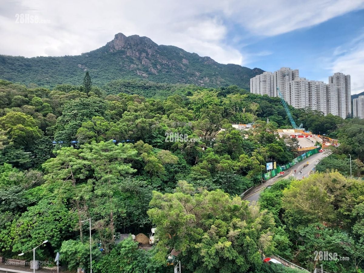 Meridian Hill Rental 4 Bedrooms , 3 Bathrooms 1,614 ft²