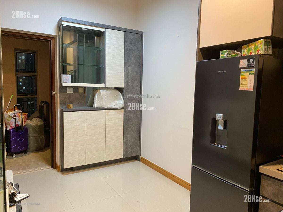 One Madison Rental 1 Bedroom , 1 Bathroom 248 ft²