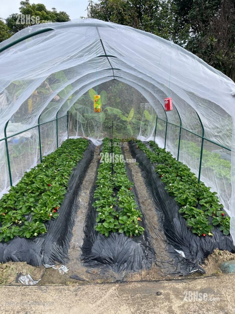 村屋 租盘 开放式间隔 4,000 平方尺