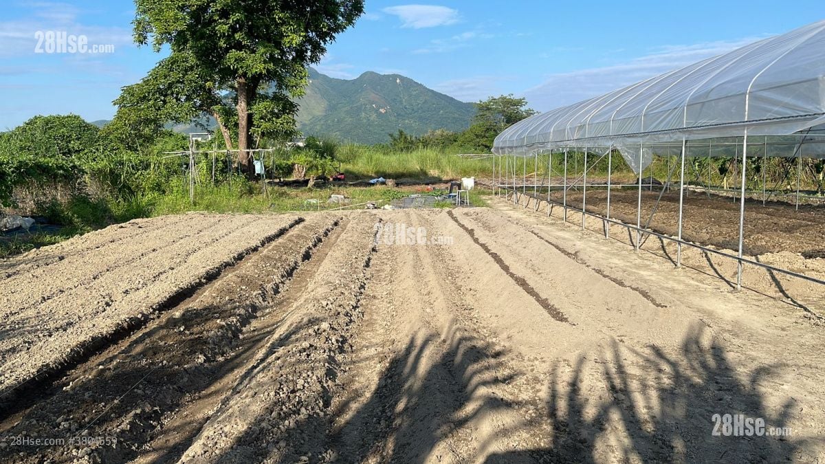 村屋 租盘 开放式间隔 4,000 平方尺