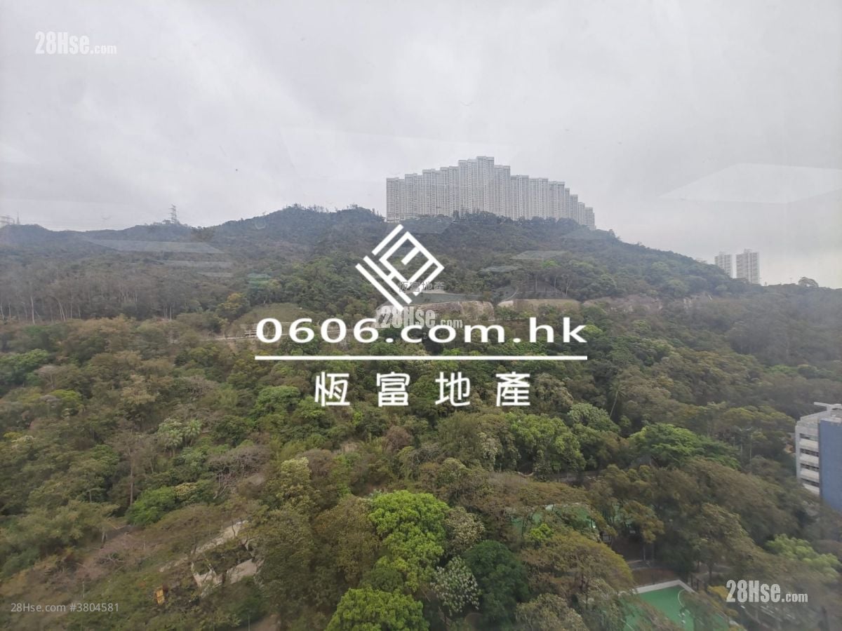 金龍工業中心 租盤