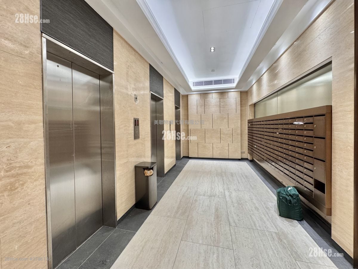 Academic Terrace Rental 2 Bedrooms , 1 Bathroom 531 ft²