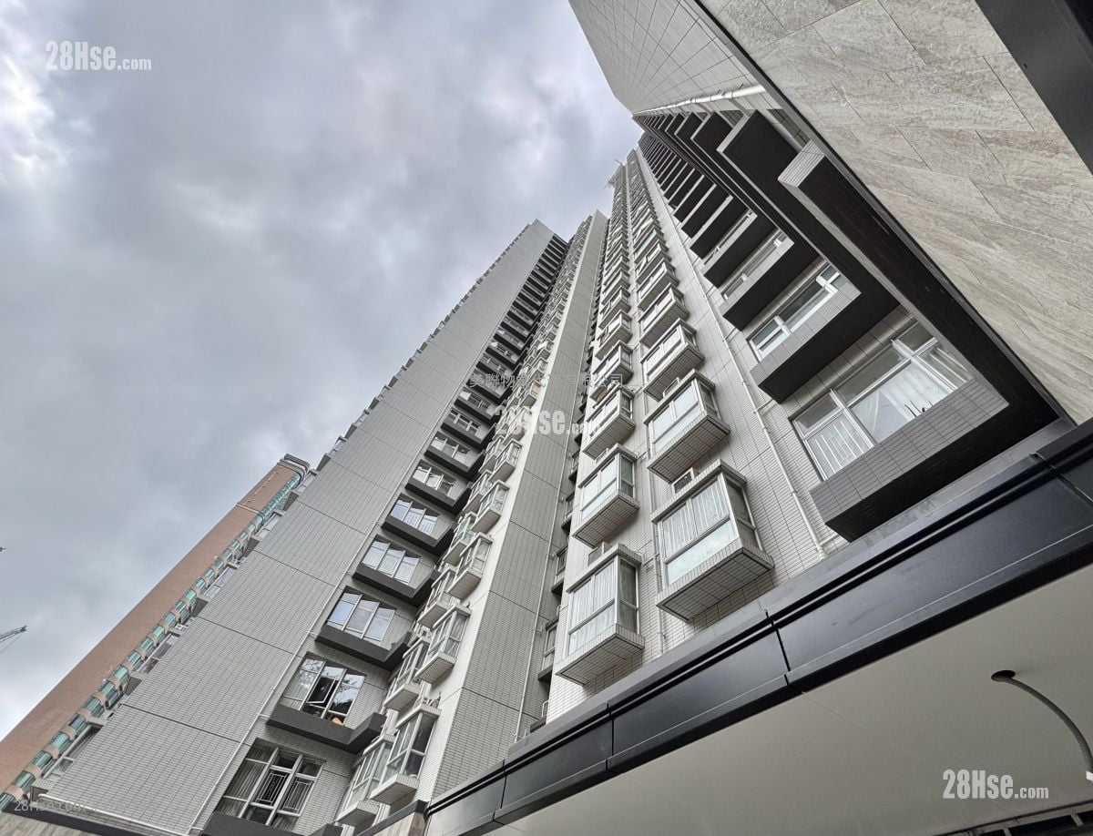 Academic Terrace Rental 2 Bedrooms , 1 Bathroom 531 ft²