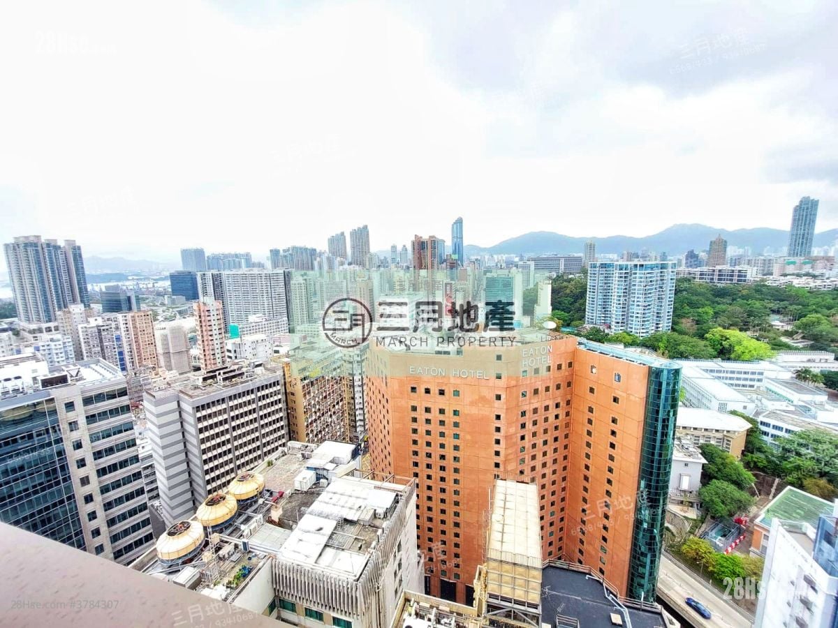 Topside Residence Rental 1 Bedroom , 1 Bathroom 272 ft²