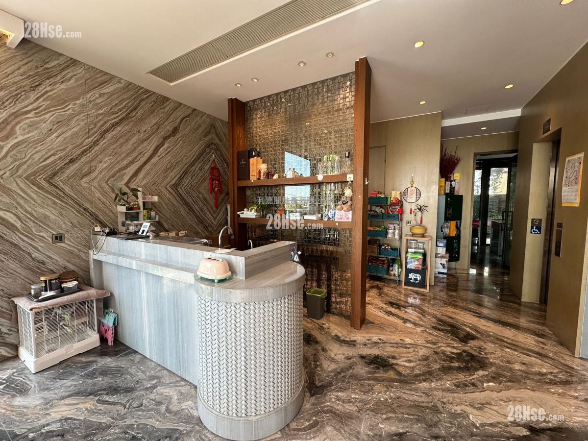 星岸 售盘 5+ 房 4,155 平方尺