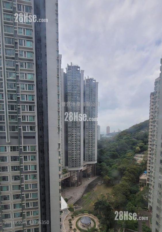 荃德花园 租盘 2 房 , 1 浴室 341 平方尺