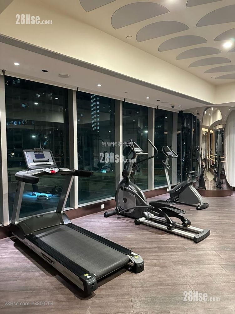 City Hub Rental Studio , 1 Bathroom 267 ft²