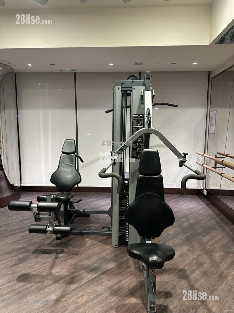 City Hub Rental Studio , 1 Bathroom 267 ft²